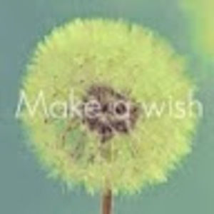 Meet your Posher, Pierre-alexis